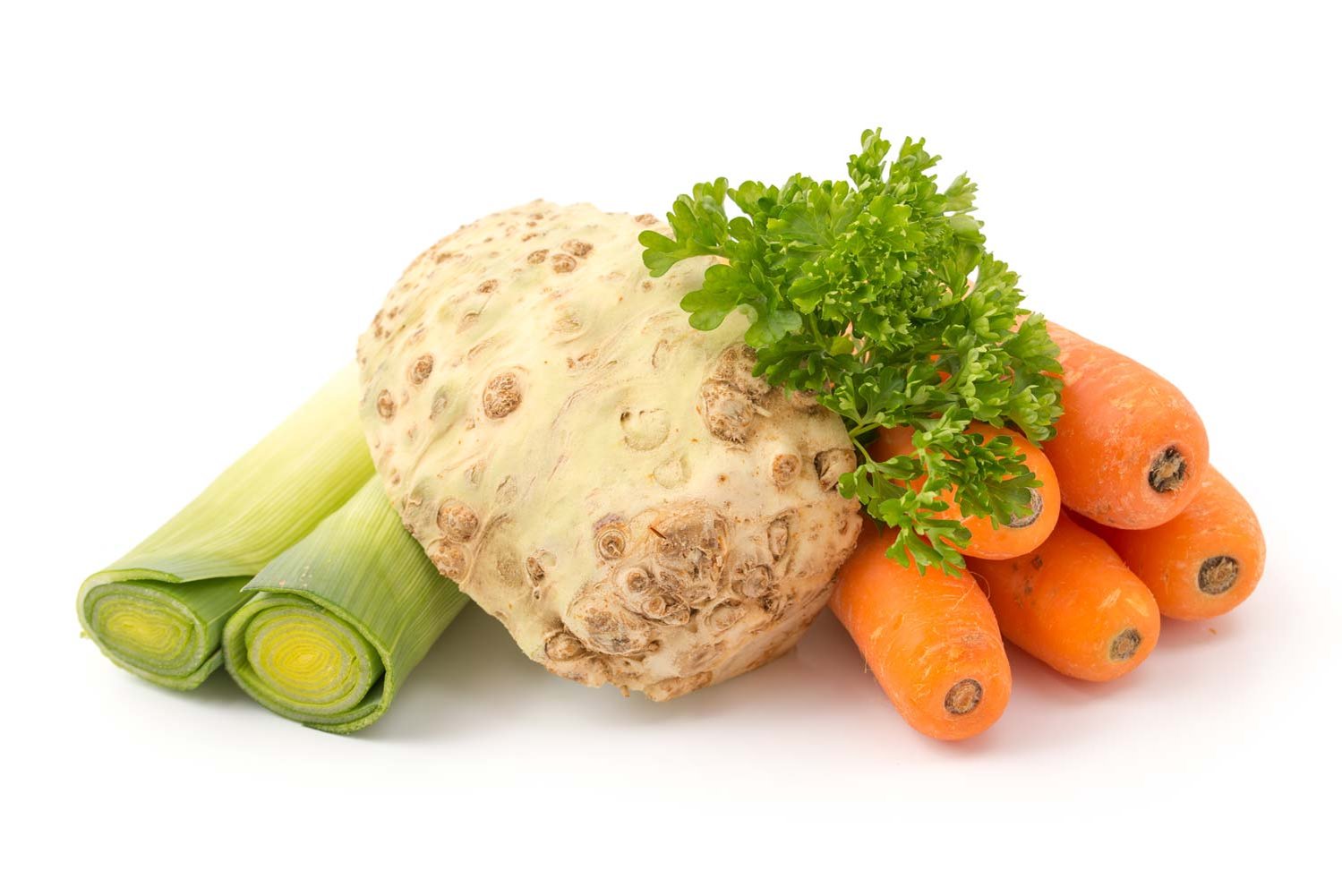 Lauch, Knollensellerie, Petersilie und Karotten auf einem weißen Untergrund