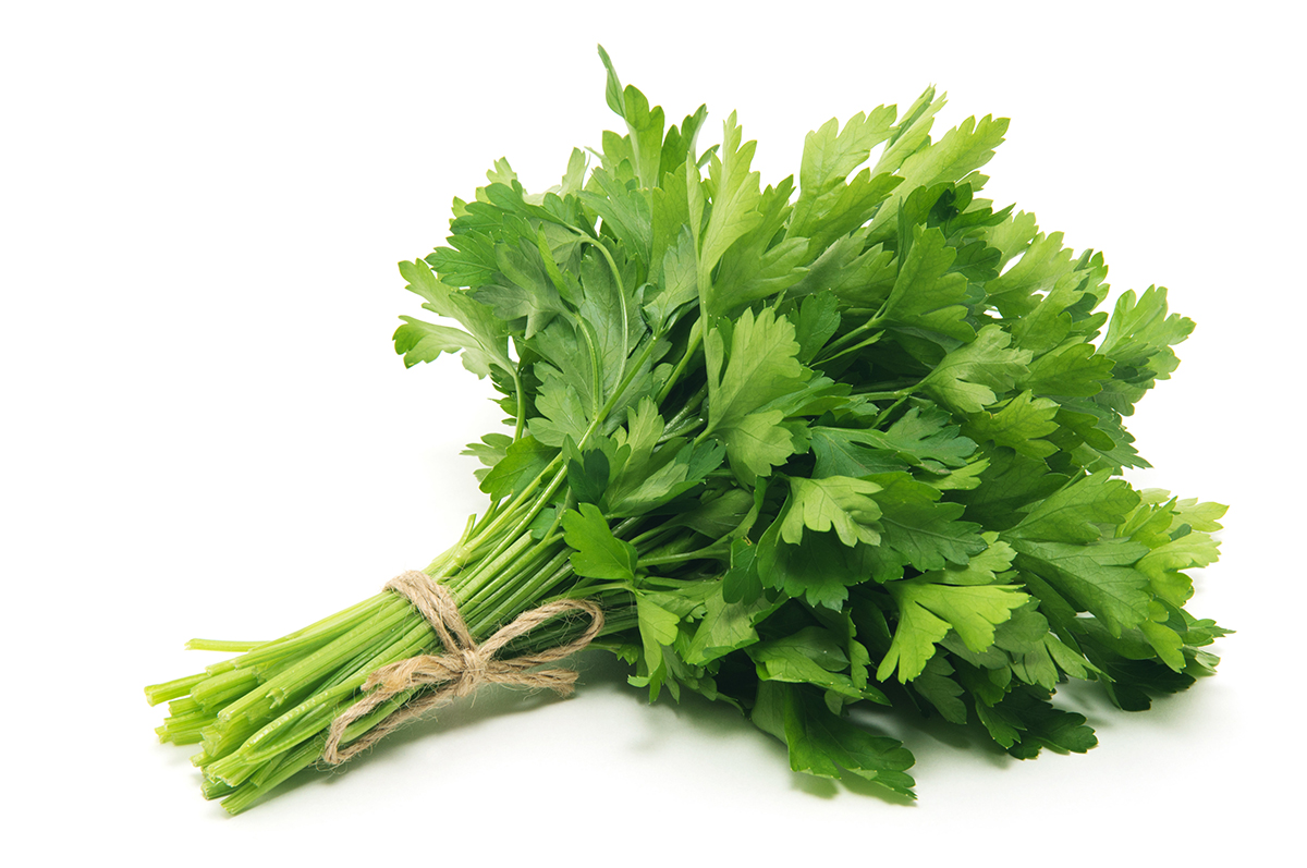 Nahaufnahme von Petersilie